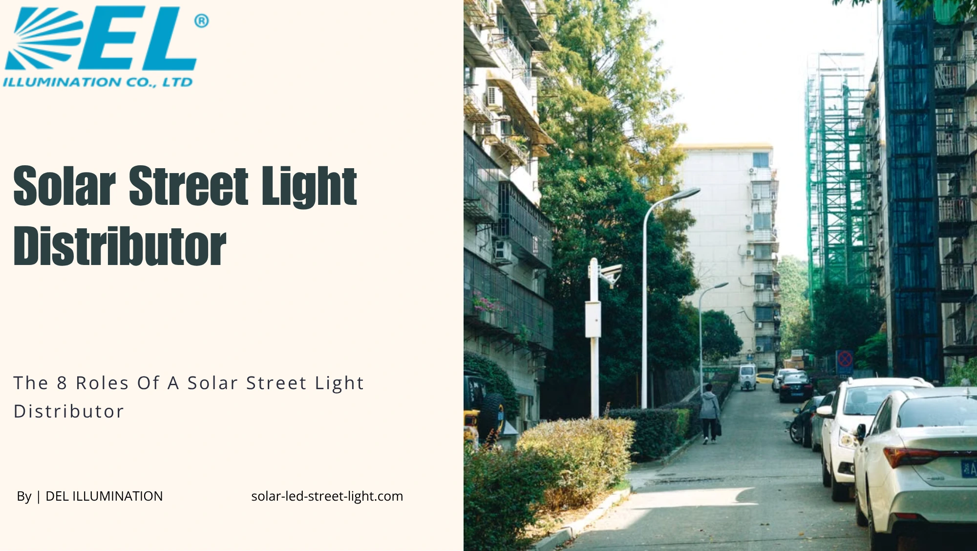 The 8 Roles Of A Solar Street Light Distributor