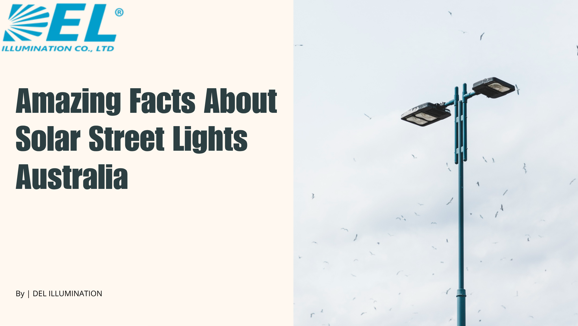 The Amazing Facts About Solar Street Lights Australia