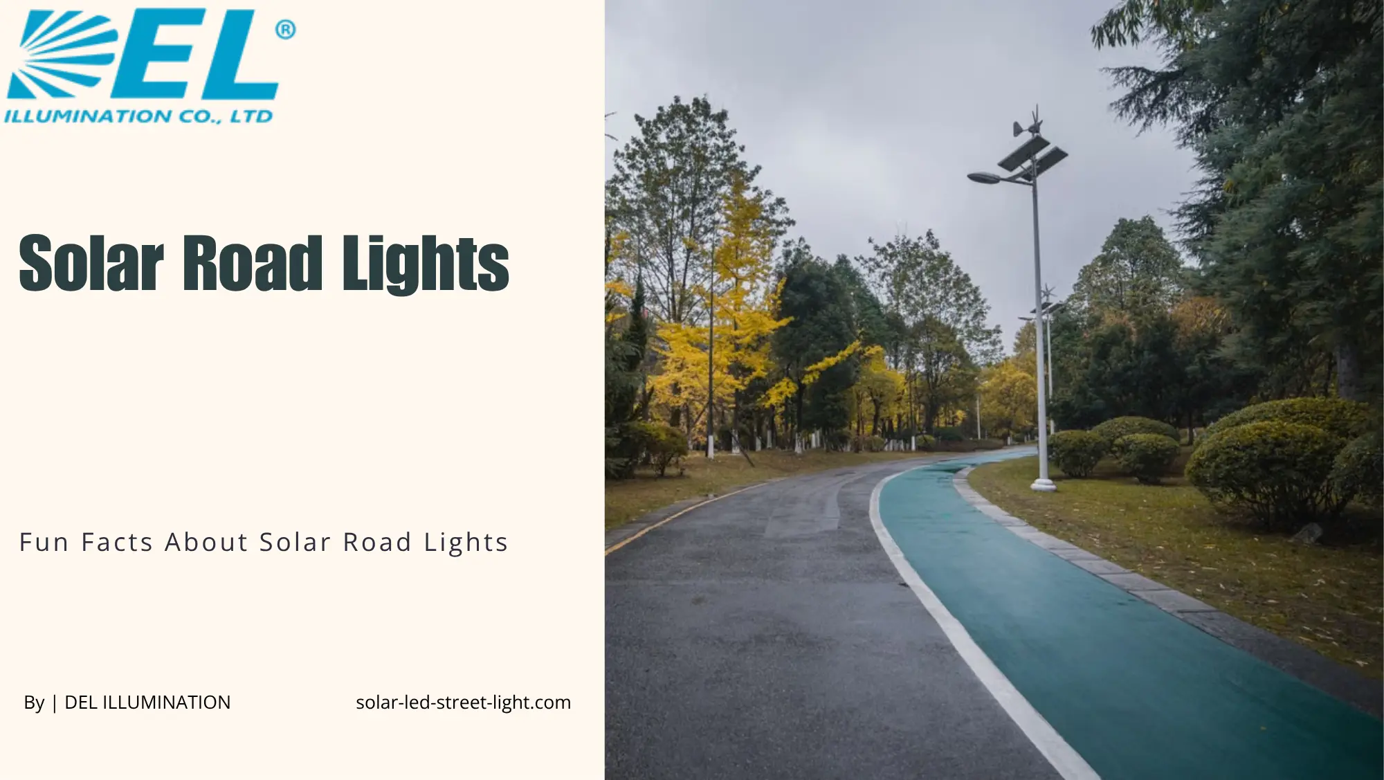 Solar Road Lights