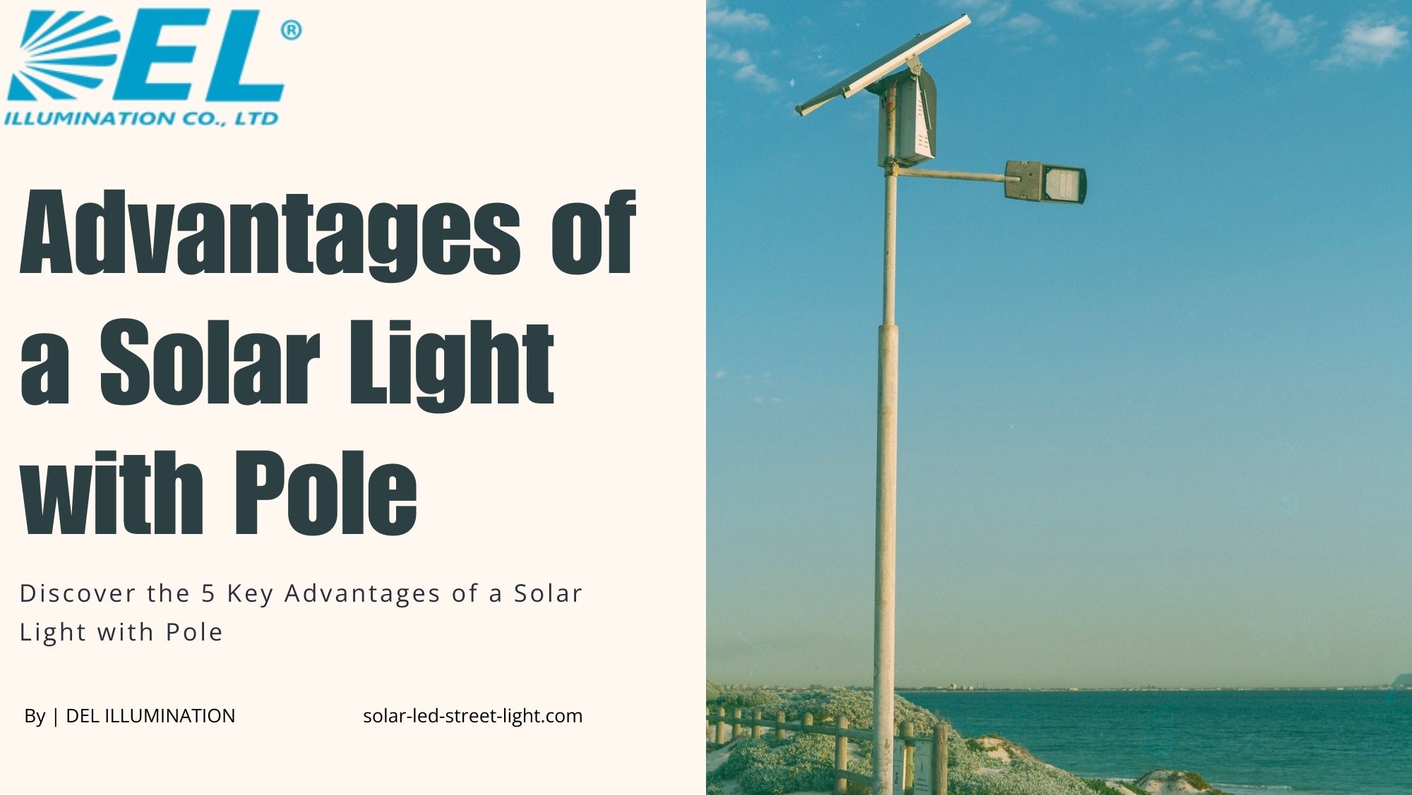 Solar Light with Pole