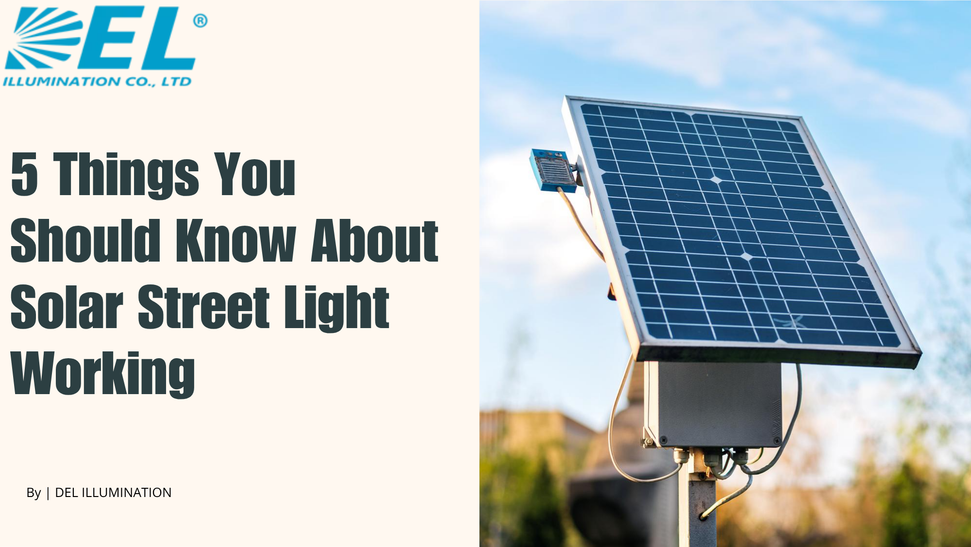 Solar Street Light