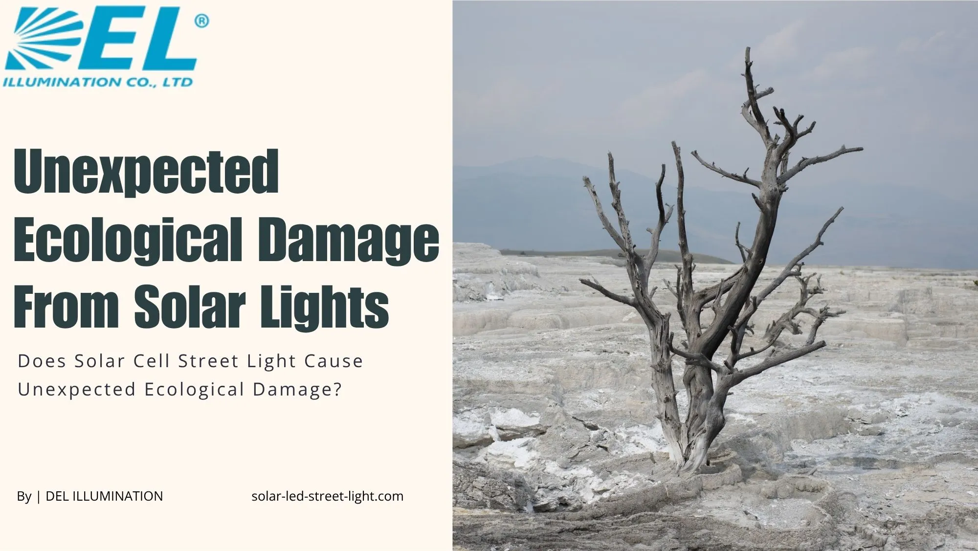 Does Solar Cell Street Light Cause Unexpected Ecological Damage?