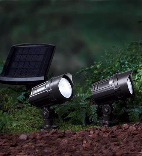 Solar Spotlights