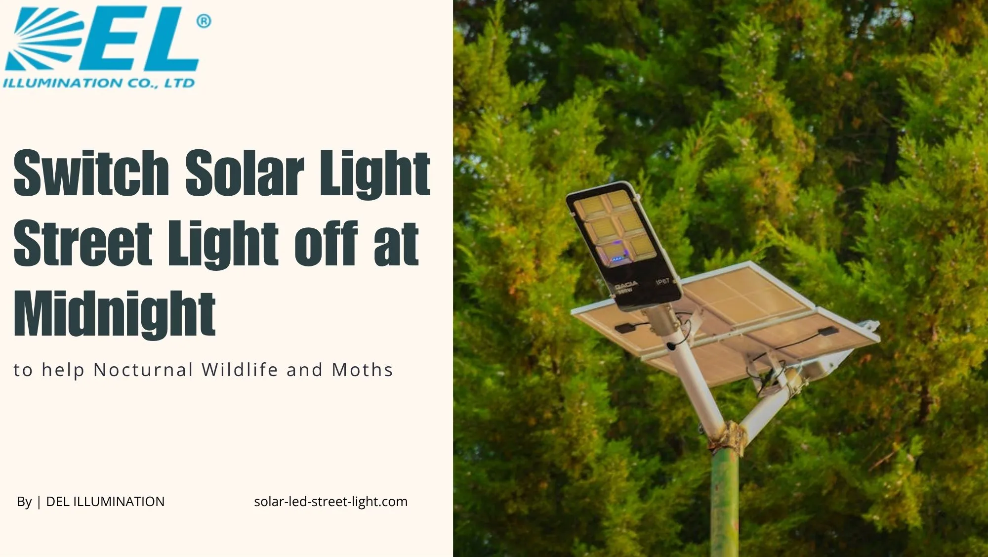 Switch Solar Light Street Light off at Midnight to help Nocturnal Wildlife and Moths
