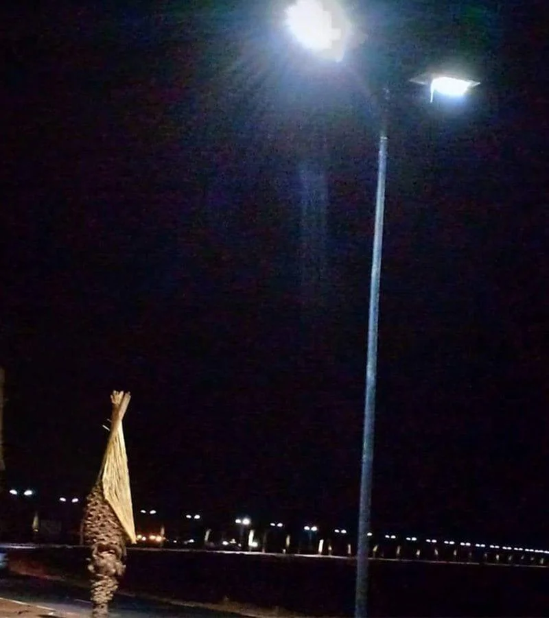 Street light in USA project